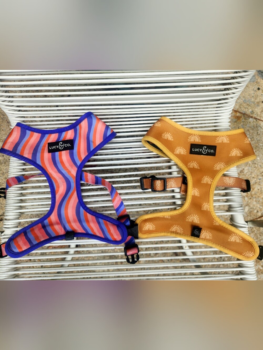 Dog Harness